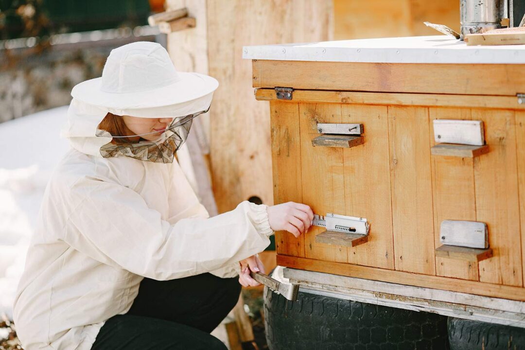 Organic honey