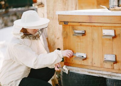 Organic honey