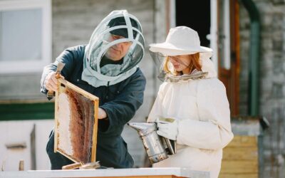Medicinal and Other Uses of Bee’s Honey